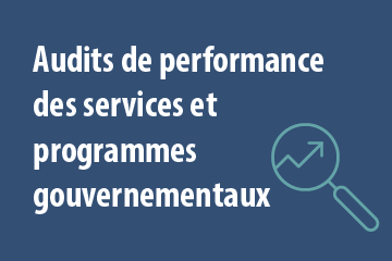 Audits de performance des services et programmes gouvernementaux