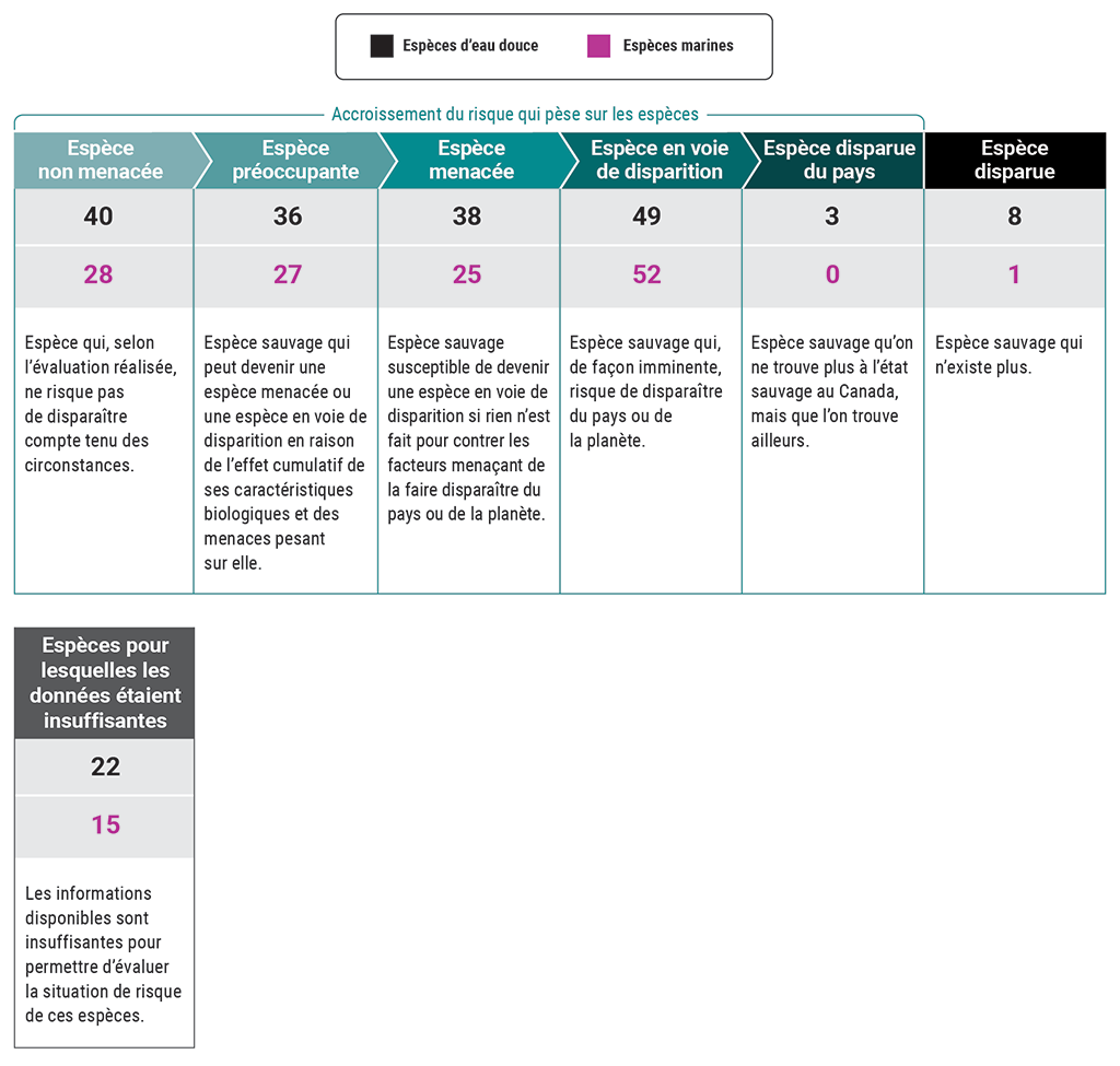 Tableau illustrant la situation de risque des espèces aquatiques que nous avons examinées, en date de novembre 2021