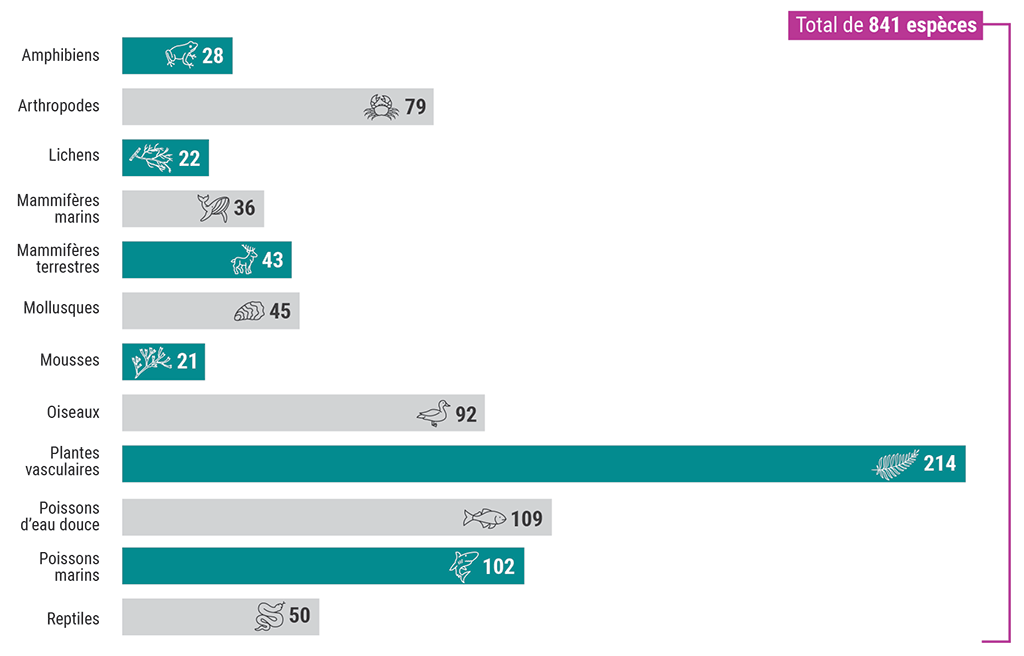 Graphique à barres illustrant le nombre d’espèces au Canada évaluées comme étant disparues, en voie de disparition, menacées et préoccupantes, selon le taxon, en date de mai 2022