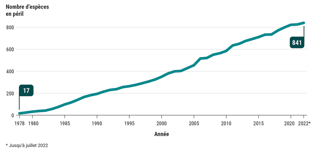 Graphique linéaire illustrant le nombre d’espèces en péril évaluées comme étant disparues, en voie de disparition, menacées et préoccupantes (de 1978 à 2022)