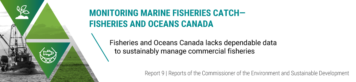 Report 9—Monitoring Marine Fisheries Catch—Fisheries and Oceans Canada