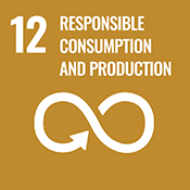 United Nations’ sustainable development goal number 12: Responsible consumption and production