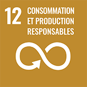 Objectif de développement durable numéro 12 des Nations Unies : Consommation et production responsables