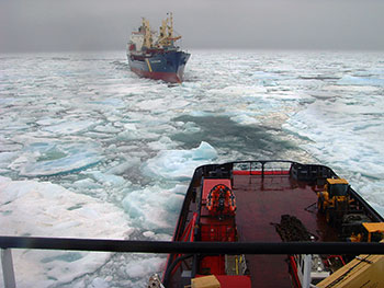 Photo of an icebreaker assisting a ship stuck in the ice