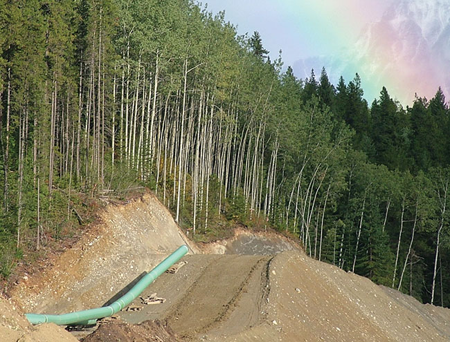 Photographie d’un pipeline reposant sur le sol le long d’une voie déboisée en bordure d’une forêt