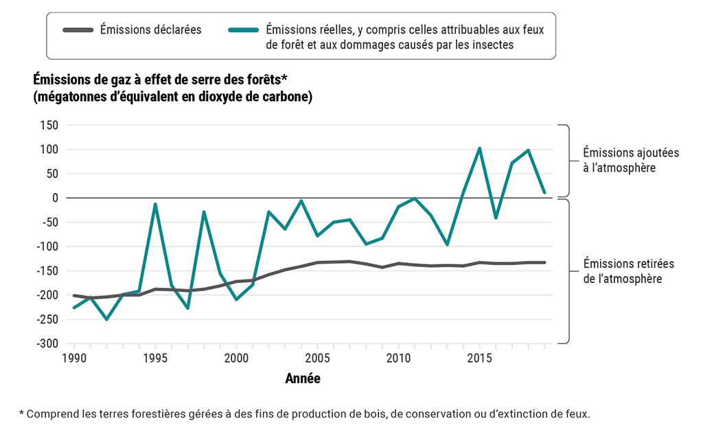 Graphique comparant les émissions réelles de gaz à effet de serre provenant des forêts, ce qui comprend les feux de forêt et les dommages causés par les insectes, de 1990 à 2019