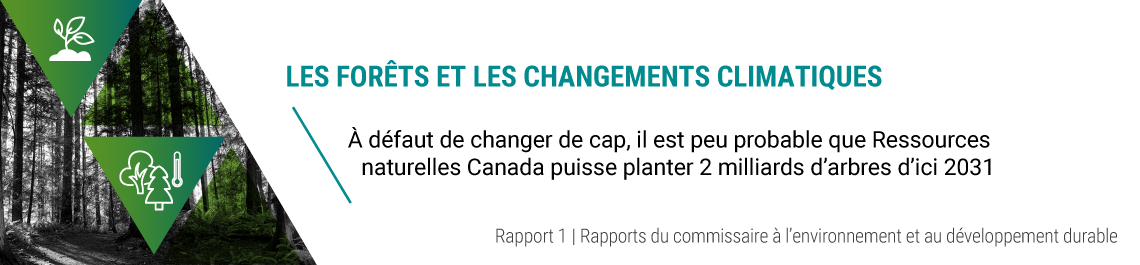 Rapport 1 — Les forêts et les changements climatiques