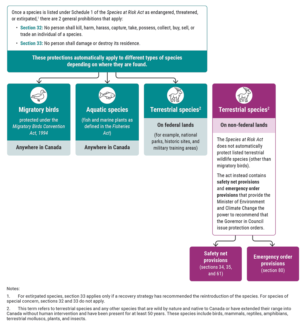 Flow chart showing how different provisions of the Species at Risk Act protect species at risk