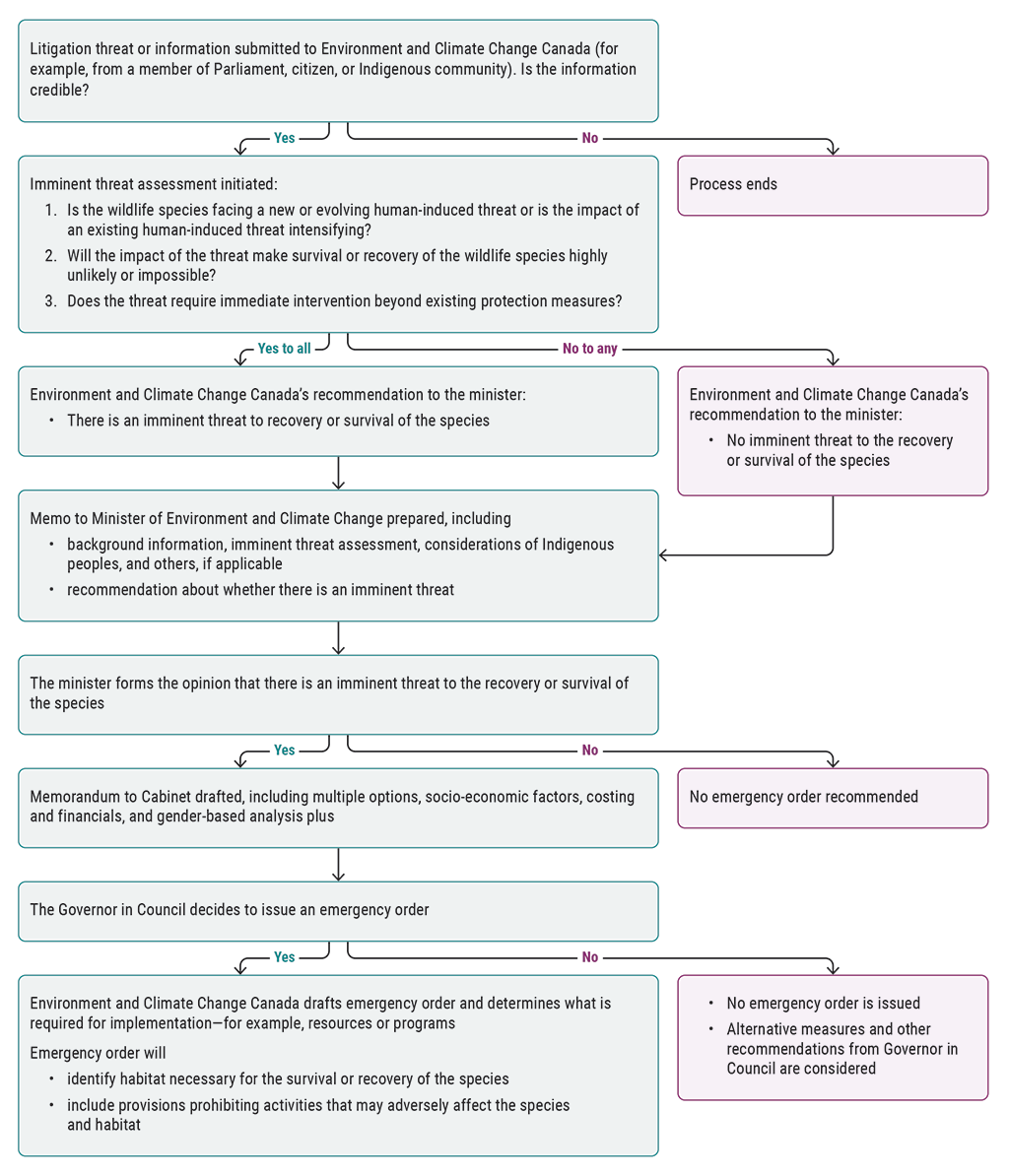 Flow chart showing Environment and Climate Change Canada’s process for using emergency order provisions under section 80 of the Species at Risk Act