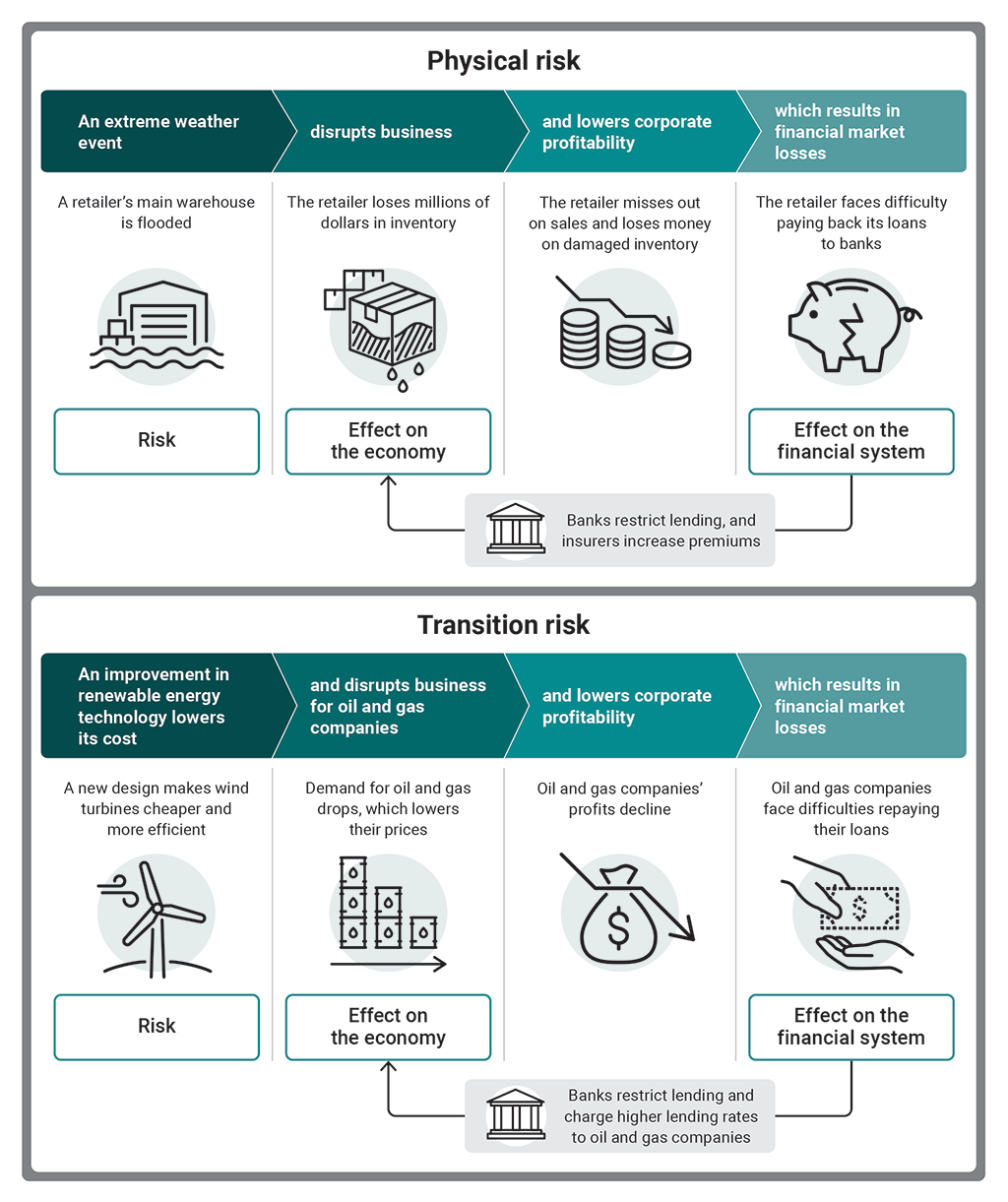 Examples of how a physical risk and a transition risk can affect the economy and financial system