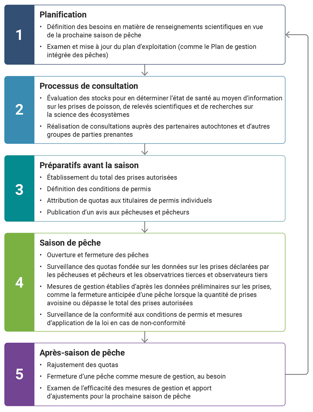 Le cycle annuel de gestion des pêches