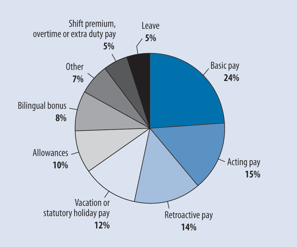 Pie chart showing the elements of employee pay for which errors were found