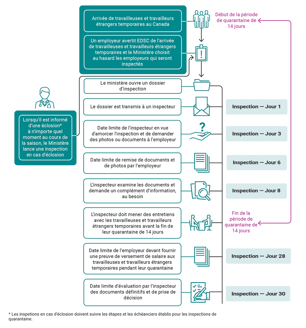 Graphique montrant les étapes des inspections de quarantaine d’Emploi et Développement social Canada